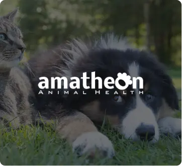 Amatheon Image Banner